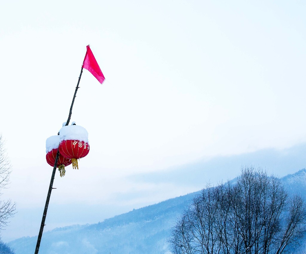 落满雪的灯笼