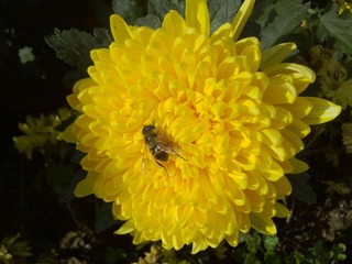 IMG_20131023_114802
