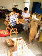剥小核桃