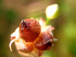 0700505-07 092