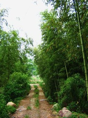 昌化lg060507 173