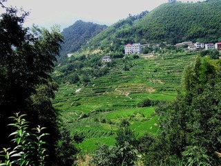 山村