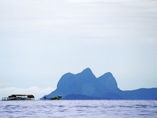 _9130071