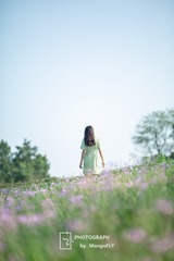 北海道之夏