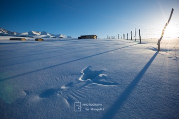 雪泥鸿爪