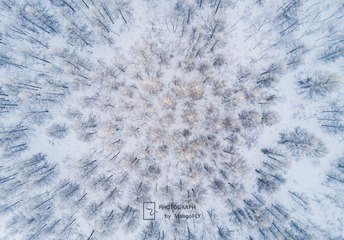 万箭齐发