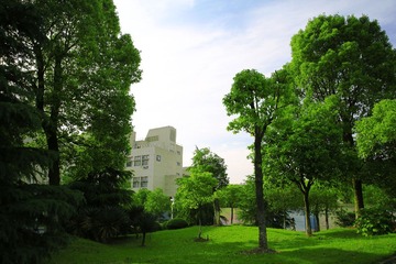 F11A4385x.jpg