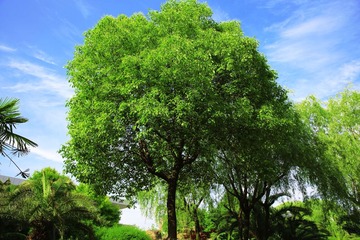 F11A4355x_结果.jpg