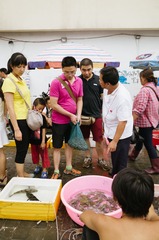 20140727-R0180453