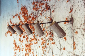 afternoon5