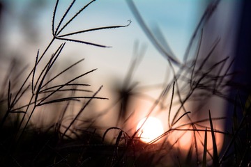 sunset2