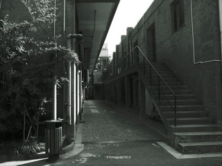 R0022446_调整大小.jpg