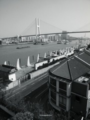 R0022474-1_调整大小.jpg