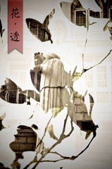花之魅1.jpg