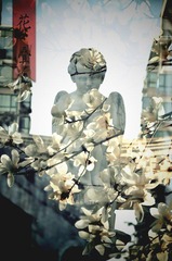 花之魅3.jpg
