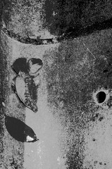L1004550