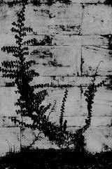 L1004542