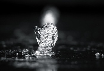 L1003885