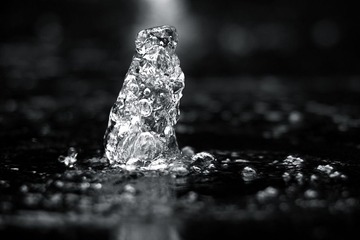 L1003886