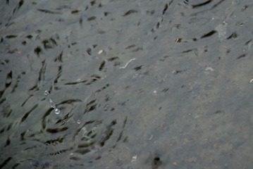 雨