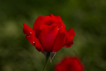 DPP_0026