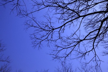 DPP_0004