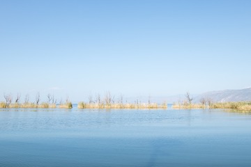 WEI_3370
