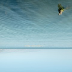 WEI_3364-1