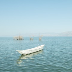 WEI_3454-1