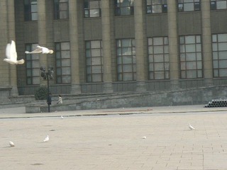 P1040417