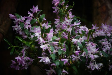 3DD4C0D7-C4B9-445D-BD1B-EB5526ED5919/L0/001