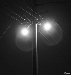 DSC09358_pt1.jpg