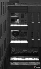 DSC04965_pt1.jpg