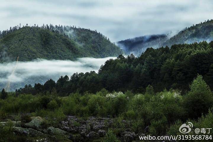 世纪30年代，探险家洛克弥留之际感叹，死也要死在玉龙雪山的鲜花里。然后便有了希尔顿的惊世之作，有了250岁的喇嘛，有了满族少女，有了会英文的张姓汉人，有了中庸而不失进取的神秘村落。  