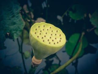P1070673