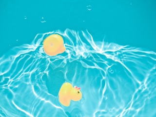 DSCF8321-2