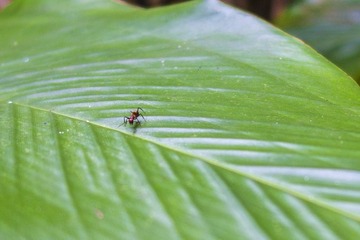 DSC03220_OK