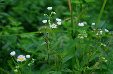 IMGP0235_