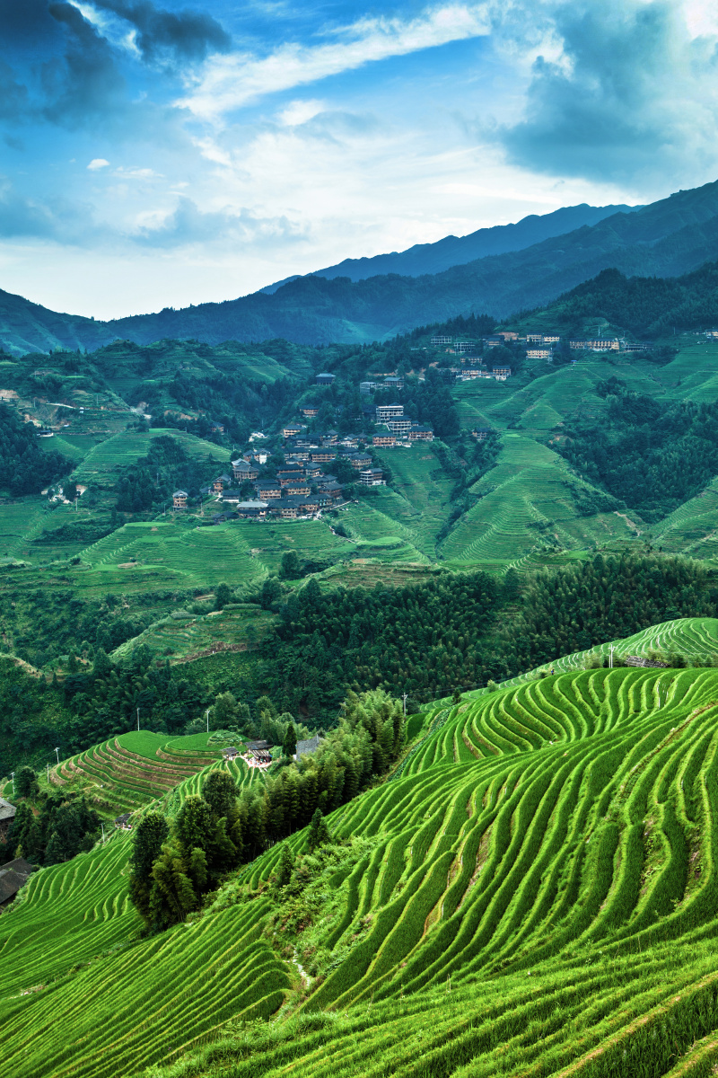 夏日的龙胜梯田