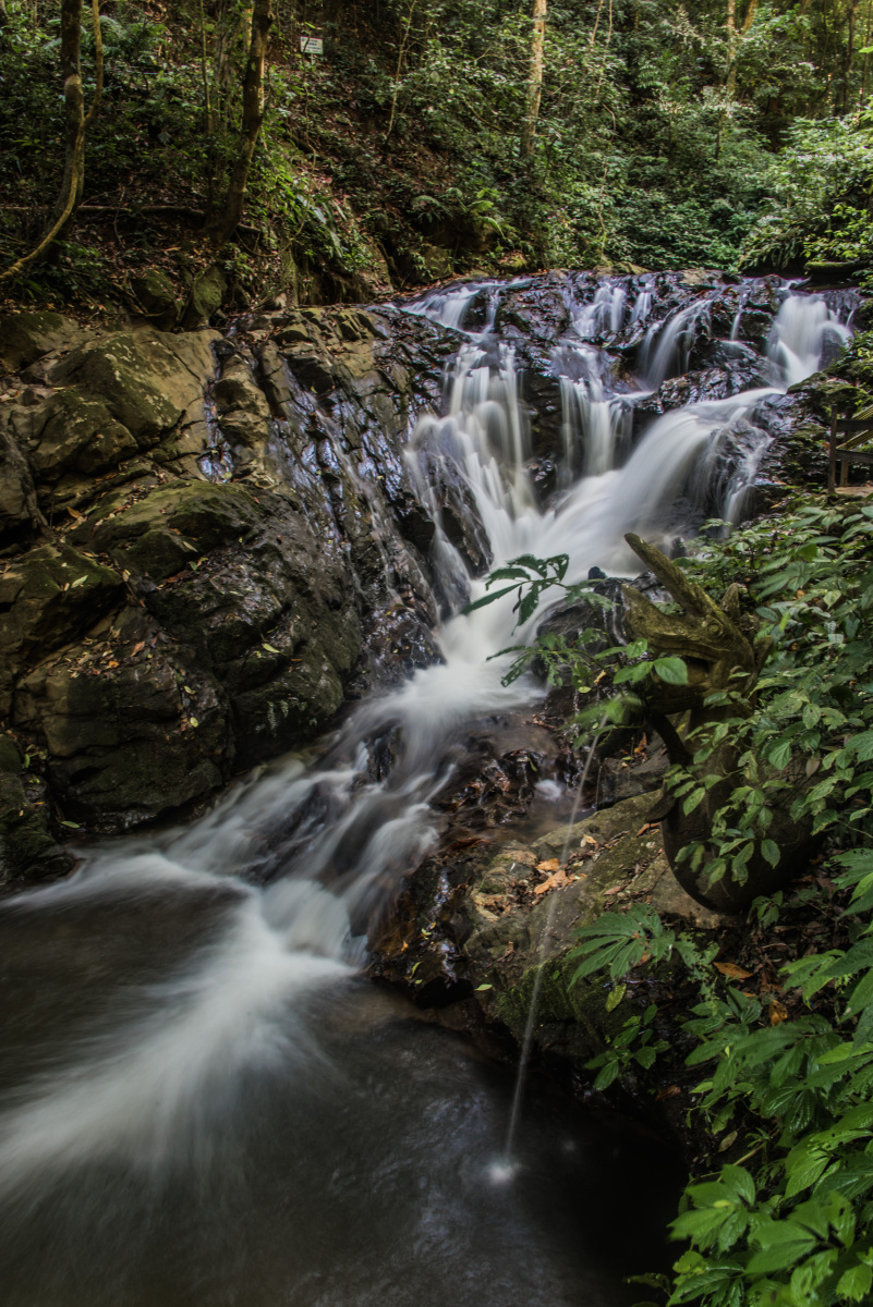 瑞丽莫里热带雨林瀑布