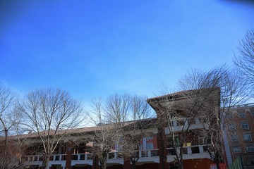 NK7_3967