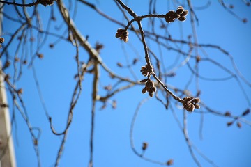 NK7_3993