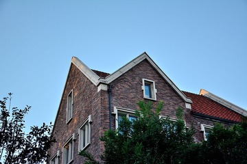 NK7_2467