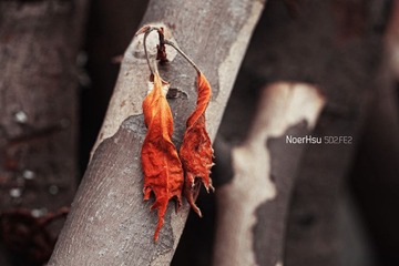 IMG_6156副本.jpg