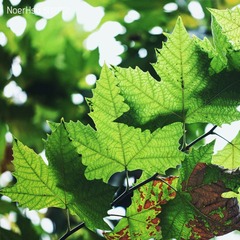 IMG_6184副本.jpg