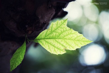 IMG_6187副本.jpg