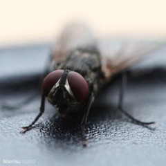 IMG_6270副本.jpg