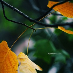 IMG_6316副本.jpg