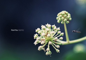 IMG_1219副本.jpg