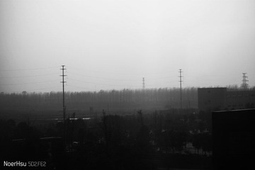 IMG_2642副本1.jpg